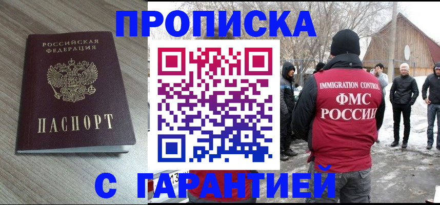 прописка 2025 в Павловске